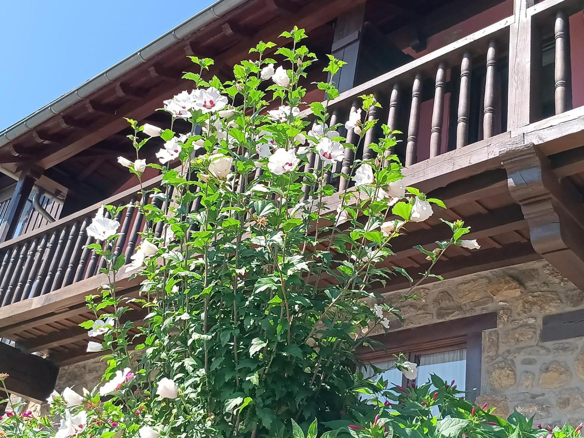 Apartamentos Calm & Nature - Adults Only Cabezón de Liébana Zewnętrze zdjęcie