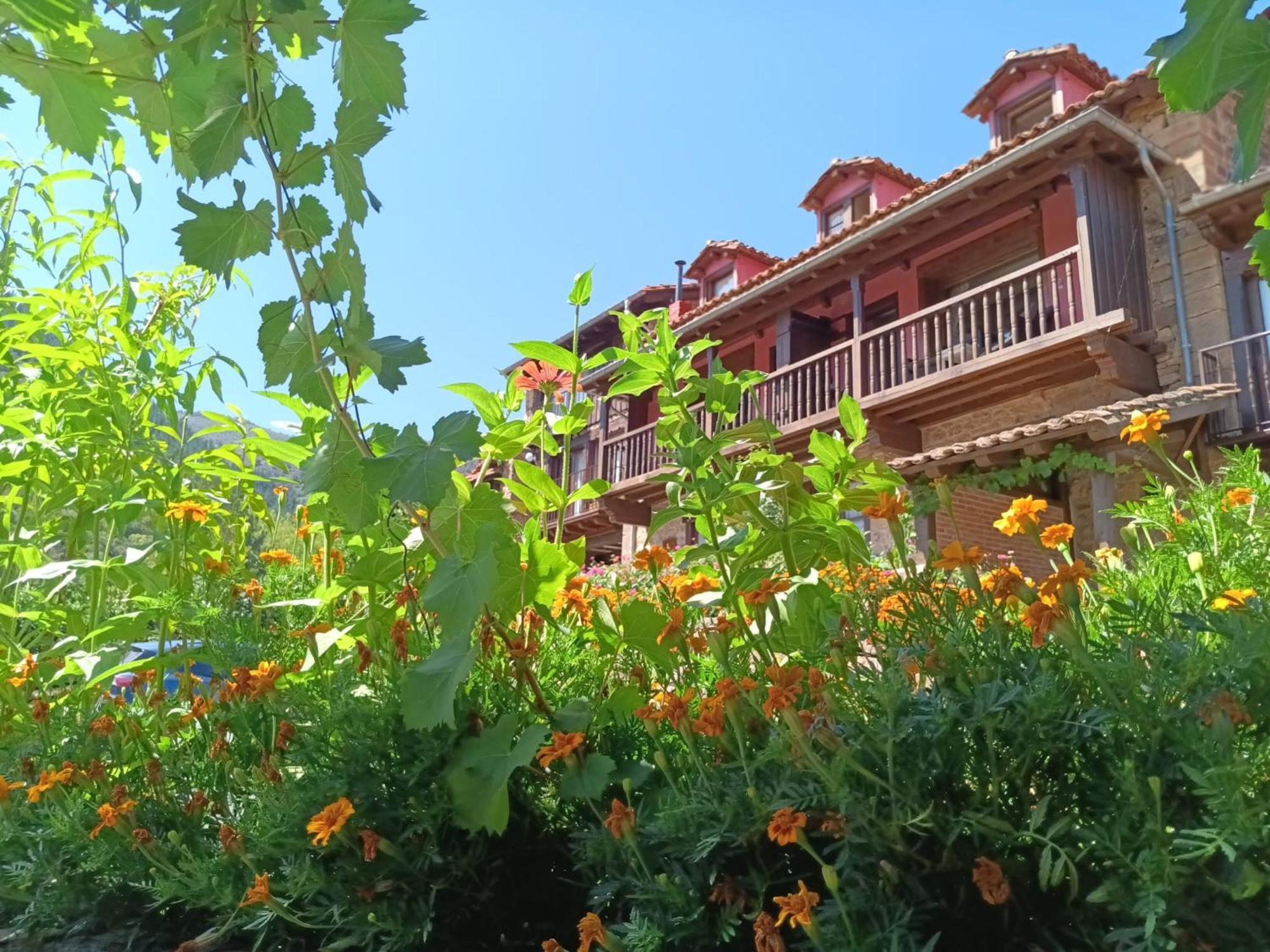 Apartamentos Calm & Nature - Adults Only Cabezón de Liébana Zewnętrze zdjęcie