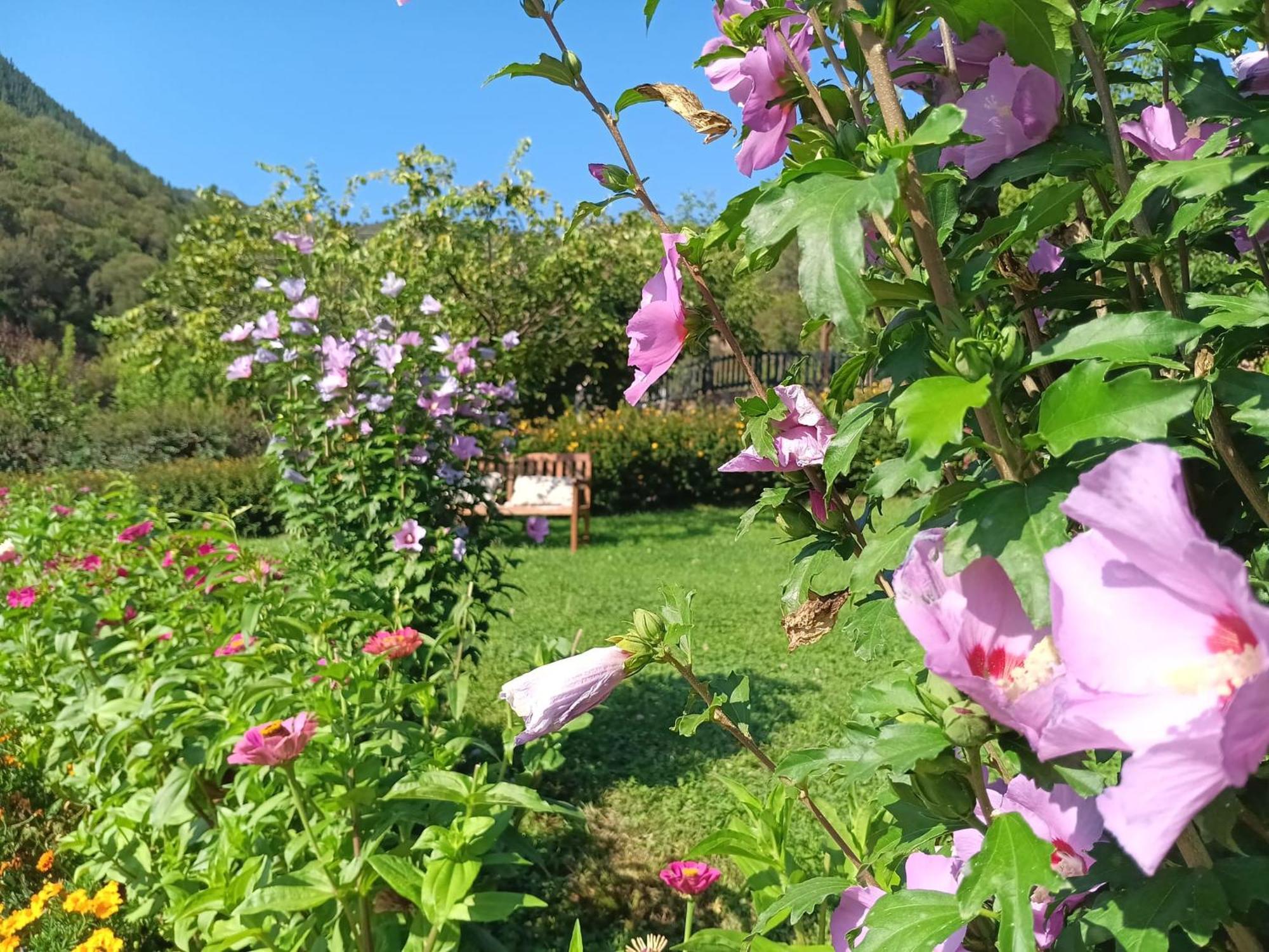 Apartamentos Calm & Nature - Adults Only Cabezón de Liébana Zewnętrze zdjęcie